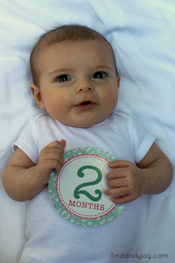 Lily - Two Months - finddailyjoy.com